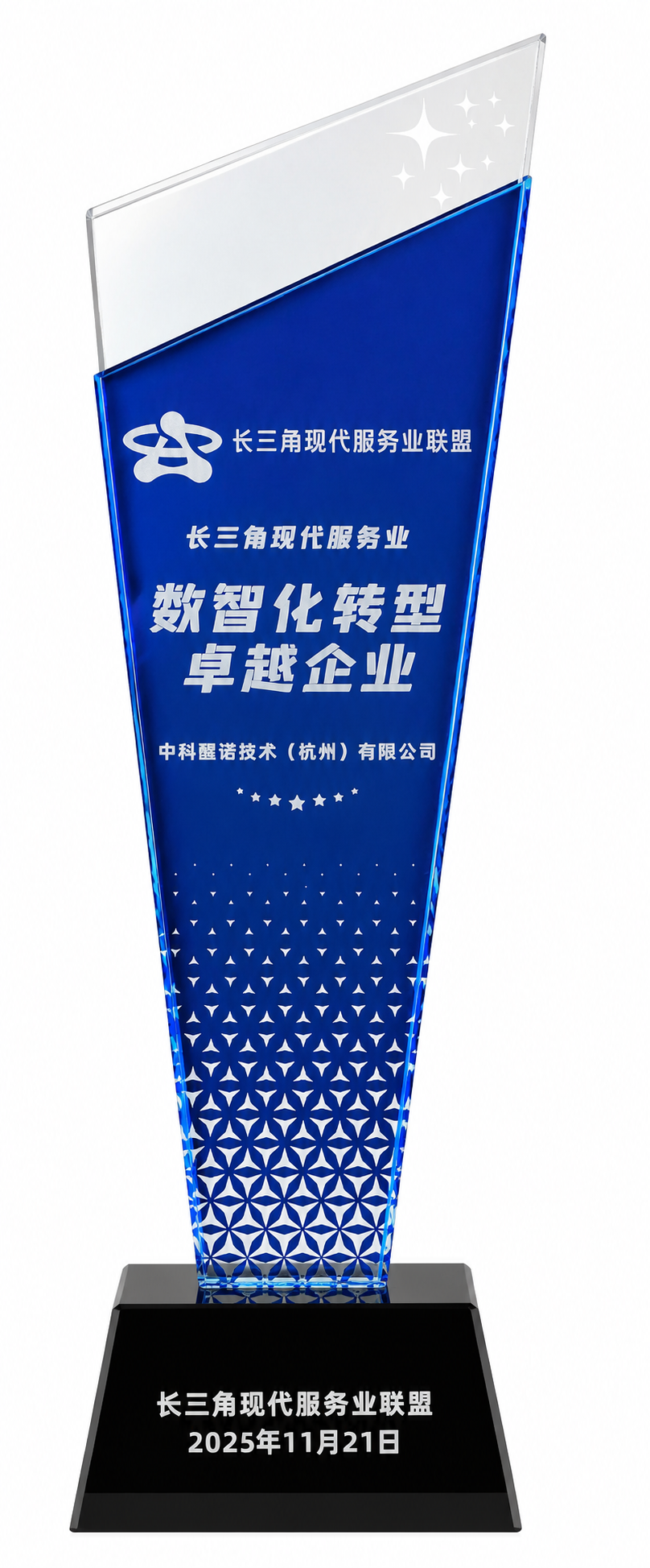 长三角现代服务业 数智化转型卓越企业