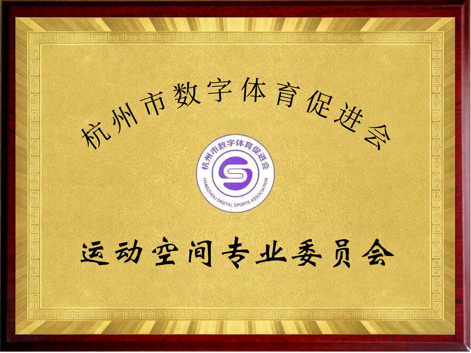杭州市数字体育促进会运动空间专业委员会